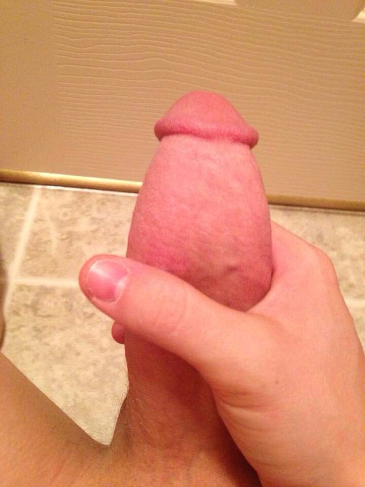 young cock
